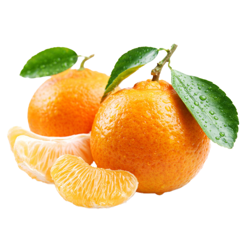 Tangerina MKT - Tangerina MKT - Propaganda e Marketing